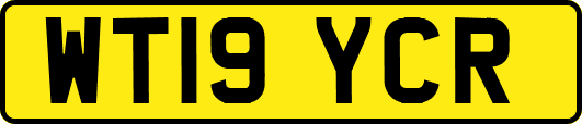 WT19YCR