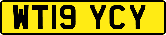 WT19YCY