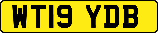 WT19YDB