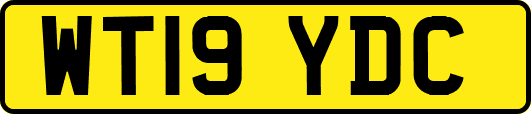 WT19YDC