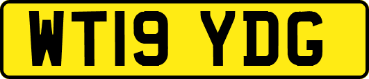 WT19YDG