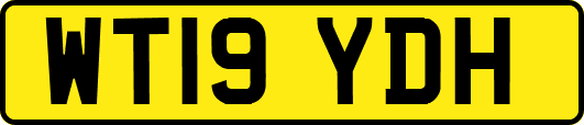 WT19YDH