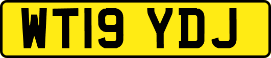 WT19YDJ