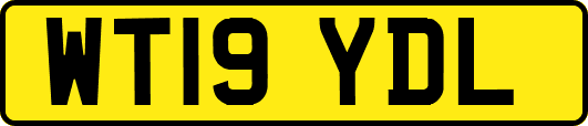 WT19YDL