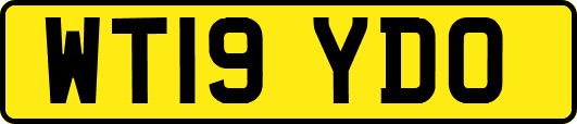 WT19YDO