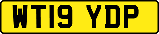 WT19YDP