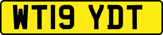 WT19YDT