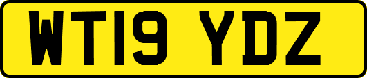 WT19YDZ