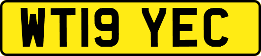 WT19YEC