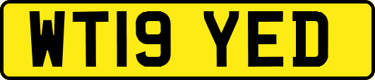 WT19YED