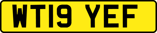WT19YEF