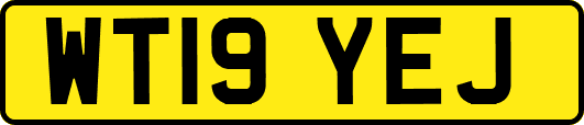 WT19YEJ