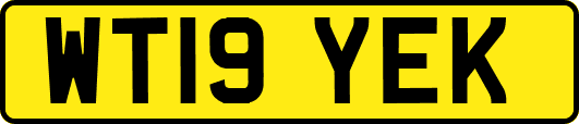 WT19YEK
