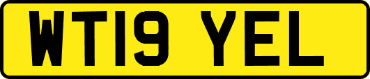 WT19YEL