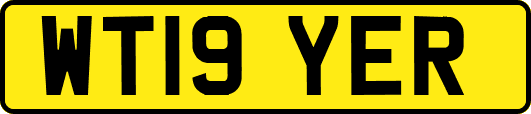 WT19YER