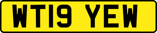 WT19YEW