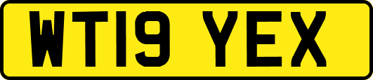 WT19YEX