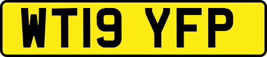 WT19YFP