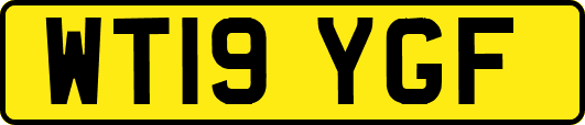 WT19YGF