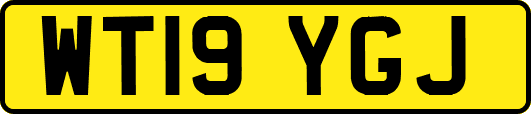 WT19YGJ