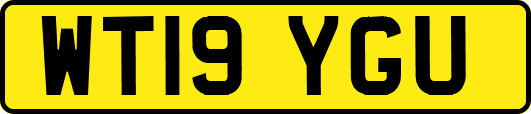 WT19YGU