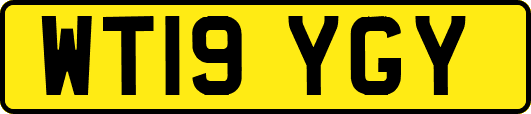 WT19YGY