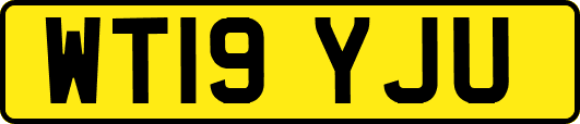WT19YJU