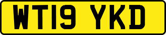 WT19YKD