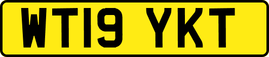 WT19YKT