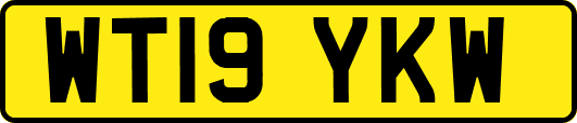 WT19YKW
