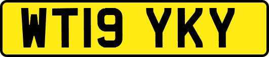 WT19YKY