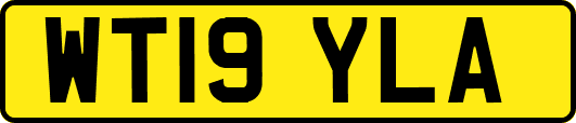 WT19YLA