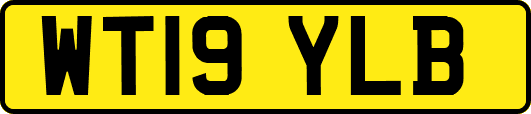 WT19YLB