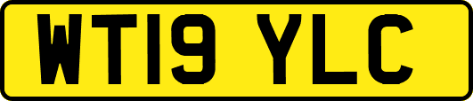 WT19YLC