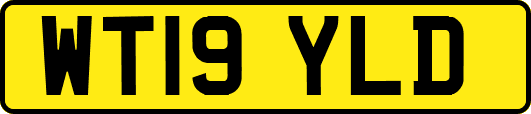 WT19YLD