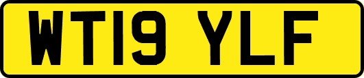 WT19YLF