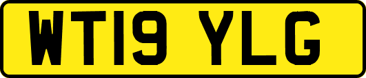 WT19YLG