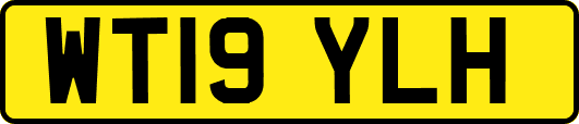 WT19YLH