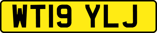 WT19YLJ