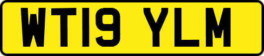 WT19YLM