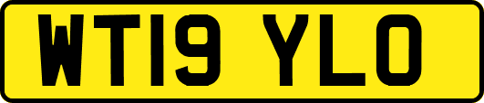 WT19YLO