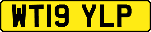WT19YLP