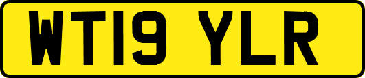 WT19YLR