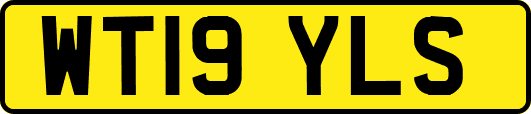 WT19YLS
