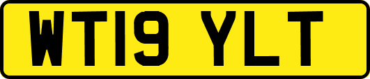 WT19YLT