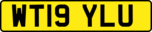 WT19YLU