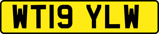 WT19YLW