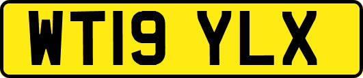 WT19YLX
