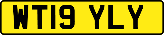 WT19YLY