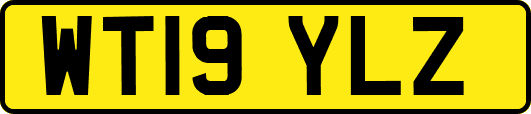 WT19YLZ